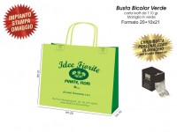BUSTE IN CARTA BICOLOR VERDE 